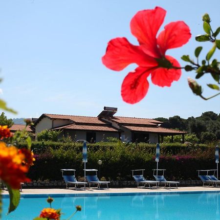 Agriturismo Ninea Рикаді Екстер'єр фото
