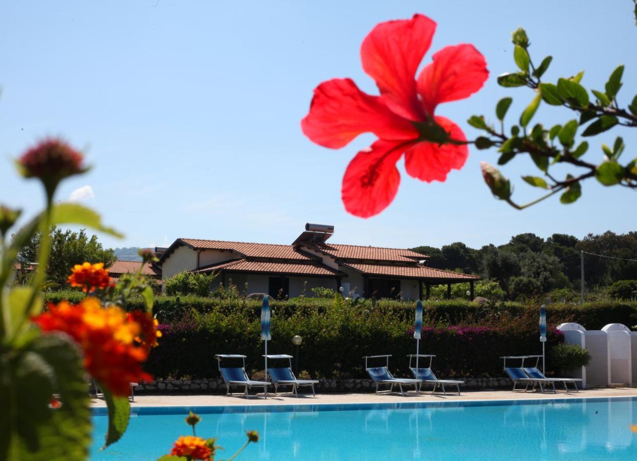 Agriturismo Ninea Рикаді Екстер'єр фото
