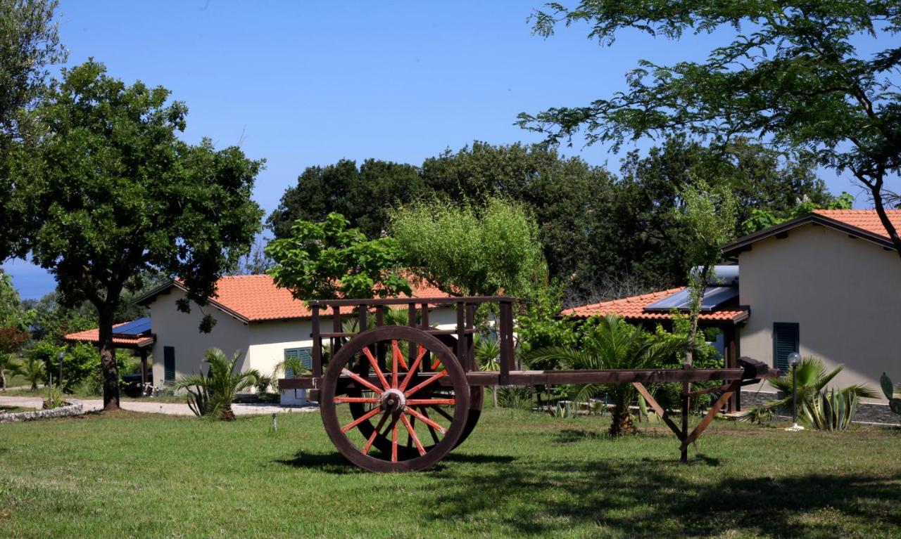 Agriturismo Ninea Рикаді Екстер'єр фото