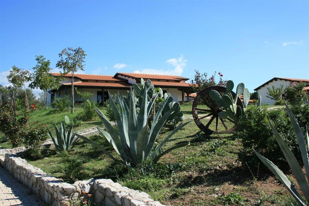 Agriturismo Ninea Рикаді Екстер'єр фото