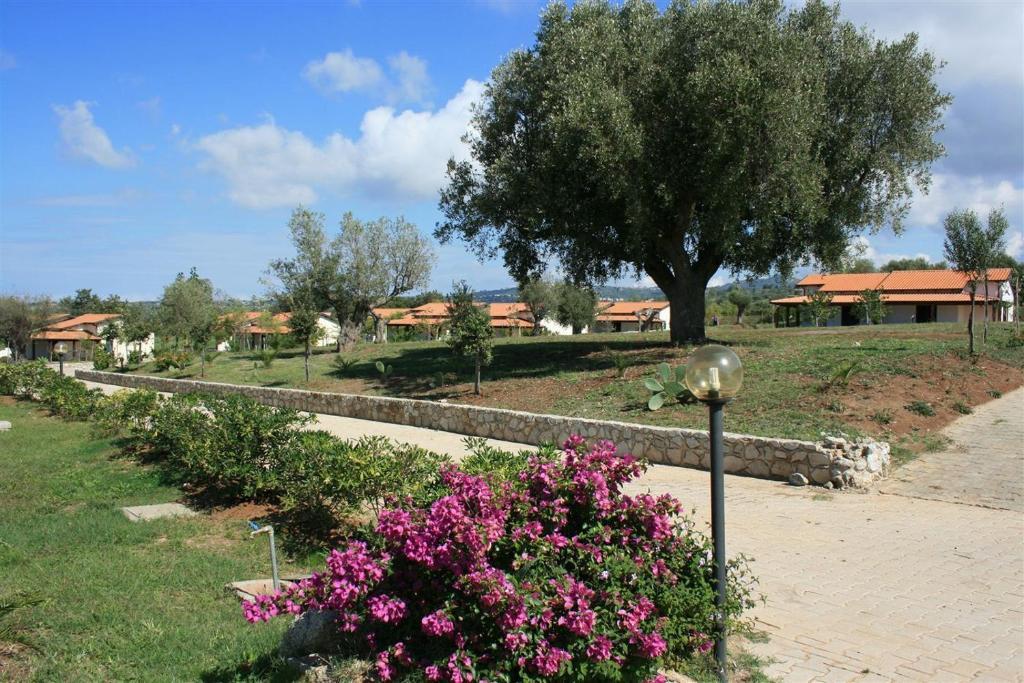 Agriturismo Ninea Рикаді Екстер'єр фото